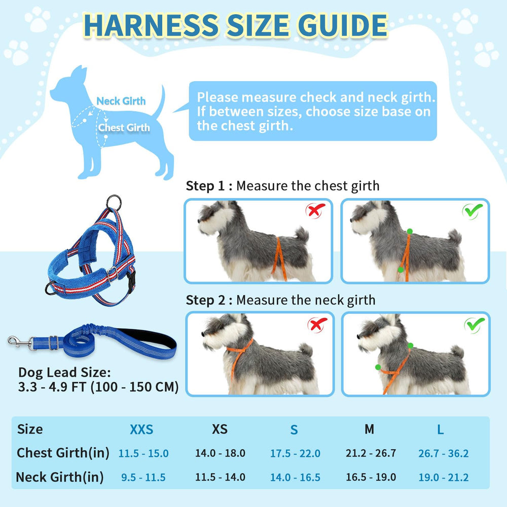 SlowTon arnés ligero y duradero ideal para perros pequeños.
