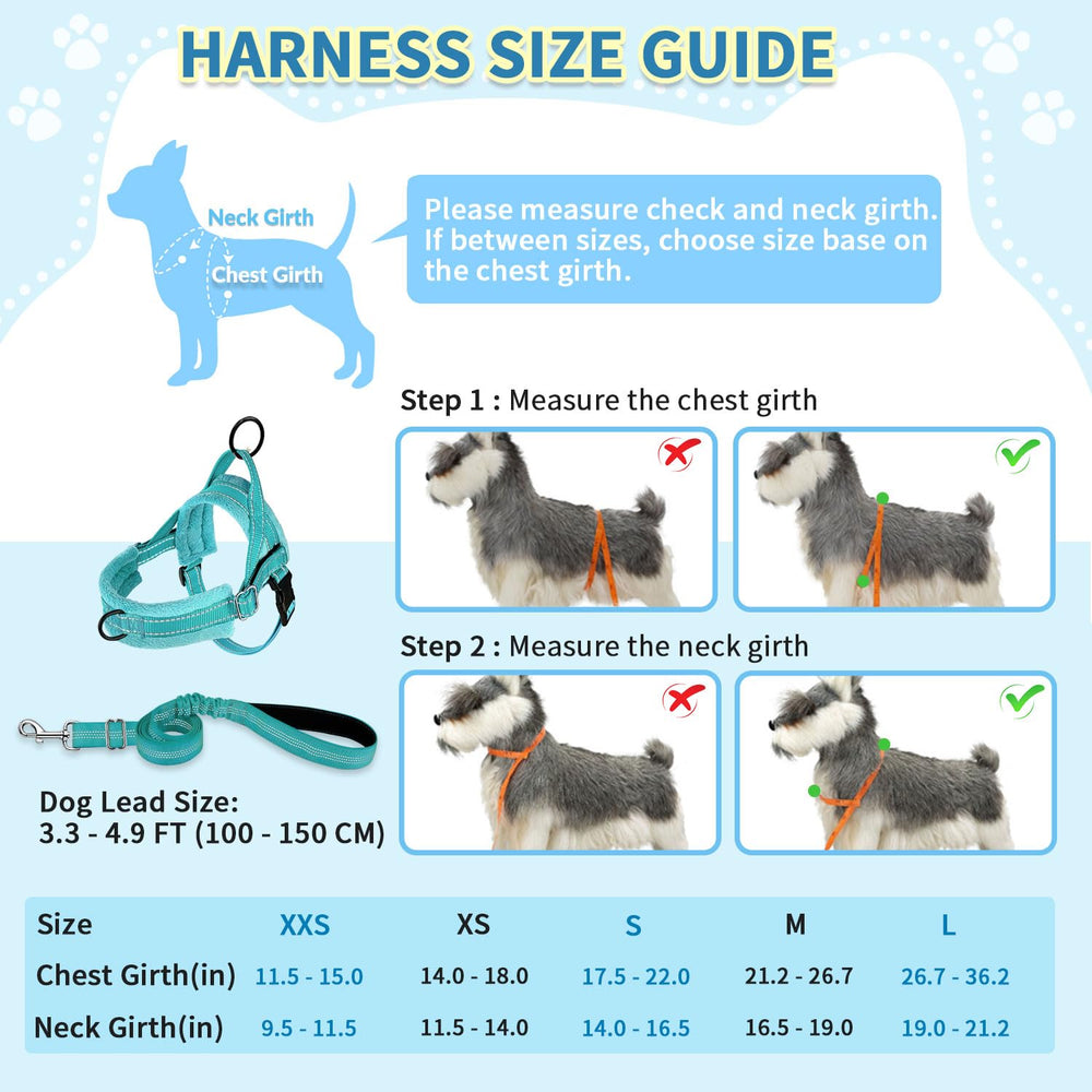 SlowTon arnés ligero y duradero, ideal para paseos diarios con perros pequeños