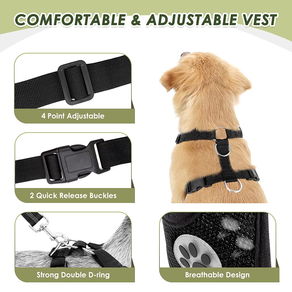 SlowTon sistema bungee absorbe impactos para viajes más suaves.