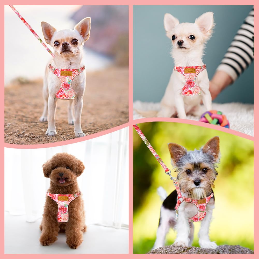 Conjunto arnés y correa SlowTon XXS, perfecto para gatos y perros pequeños.