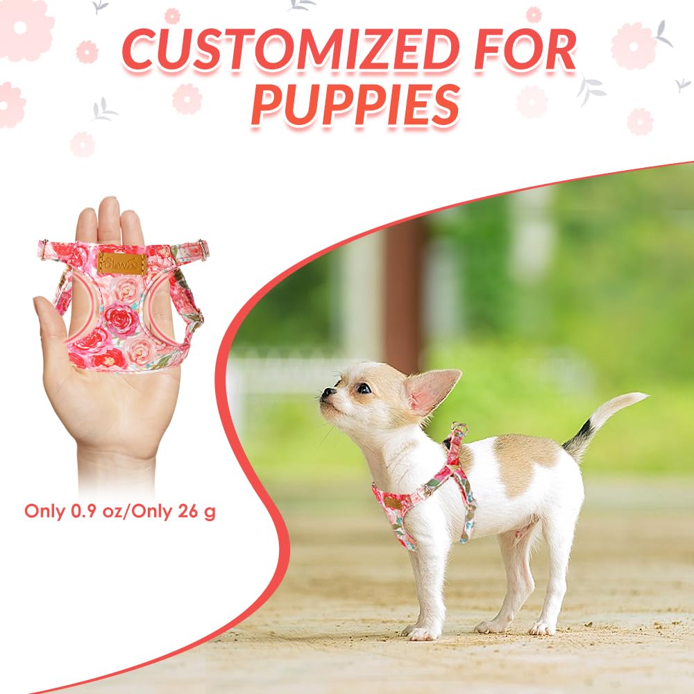 Correa SlowTon para perro XXS sin tirones, ideal para paseos seguros.