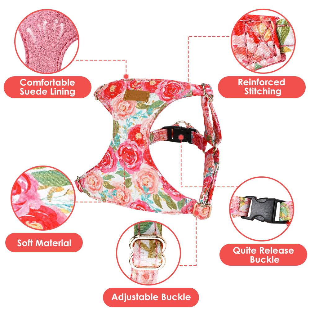 Diseño estampado SlowTon en rosa, añade estilo y personalidad al perro.