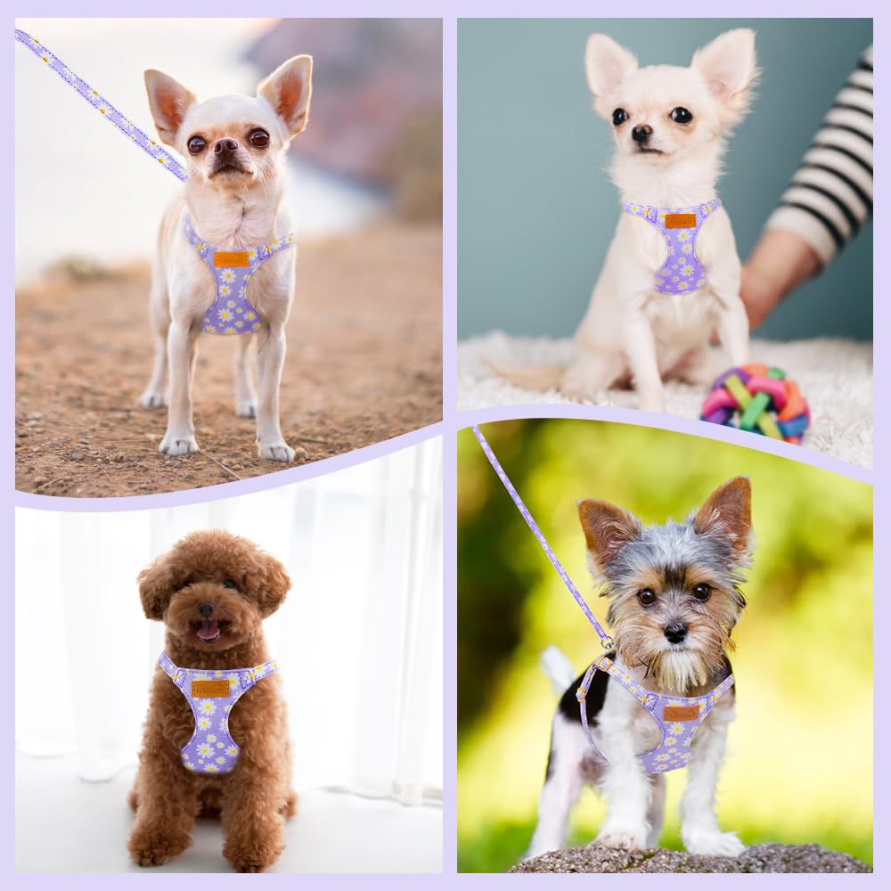 slowton paseo facil arnes perro xxs morada para paseos seguros