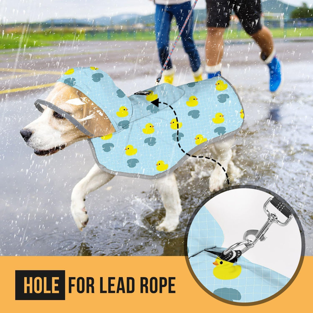 Diseño SlowTon con siete tallas para perros pequeños y grandes