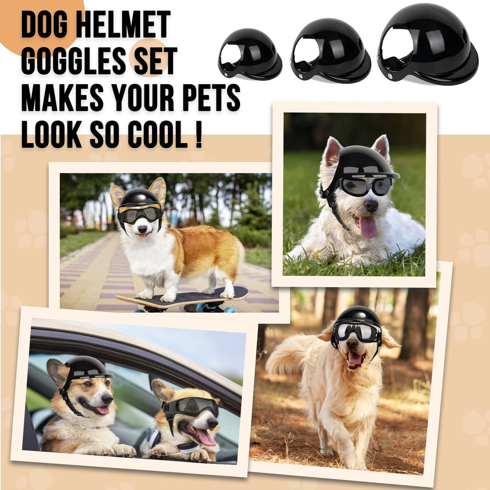 Estilo y confort SlowTon para perro, ideal para fotos.
