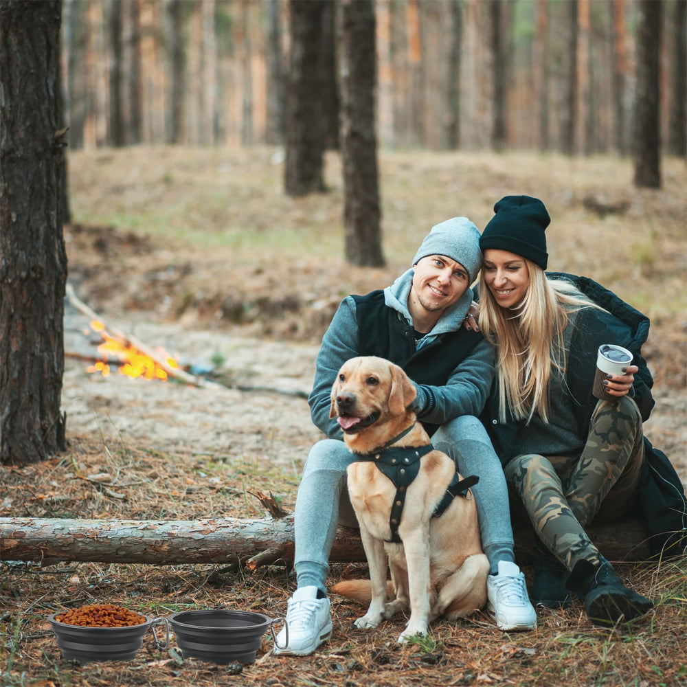 SLSON bol pliable chien – facile à ranger dans le sac lors des voyages.