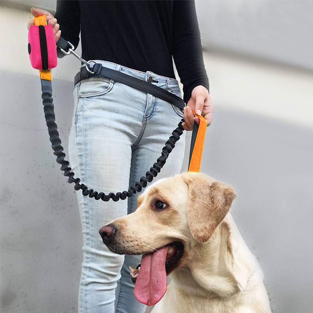 SLSON diseño portátil y colorido para paseos al aire libre