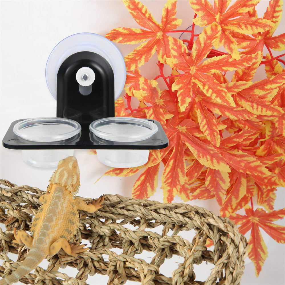 SLSON Gecko Feeder Ledge uso en terrario para comida o agua.