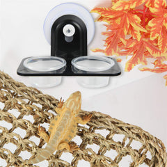 SLSON Gecko Feeder Ledge sujeción fuerte para alimentación y agua.