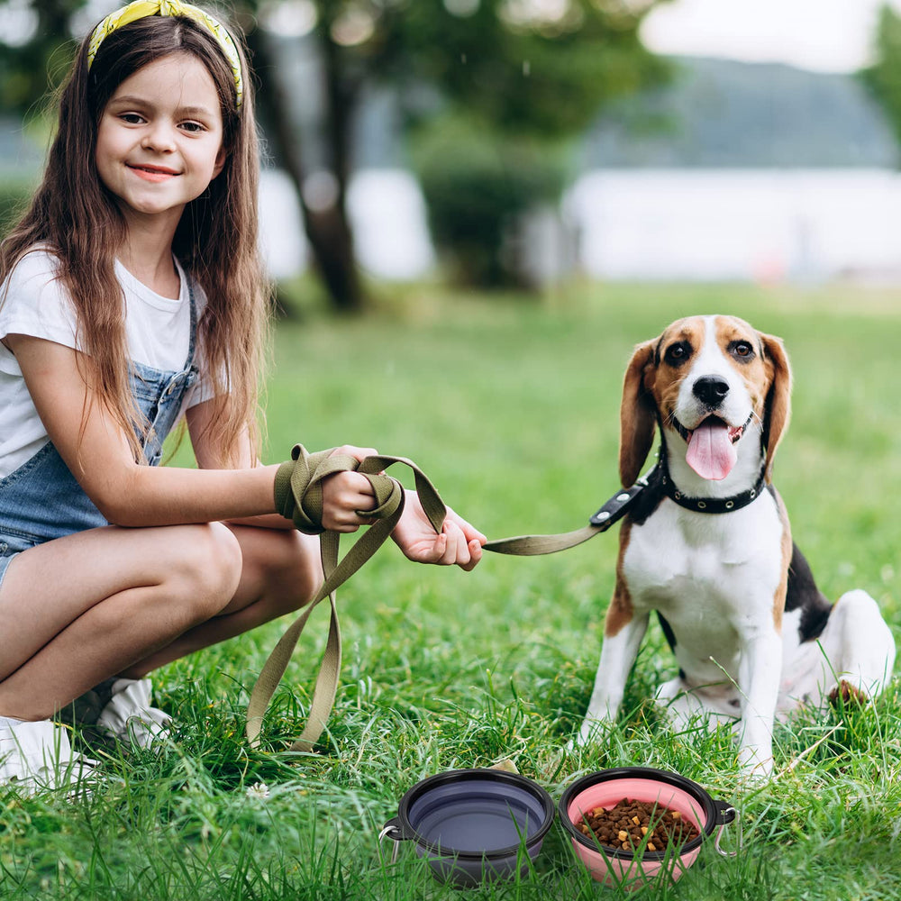 SLSON tazones para mascotas colapsables, dos unidades incluidas para comida y agua.