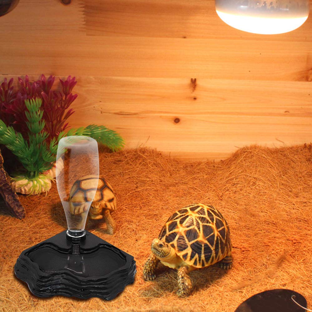SLSON uso-diario-reptiles-geckos-lagartos-bebedero facilita el cuidado diario.