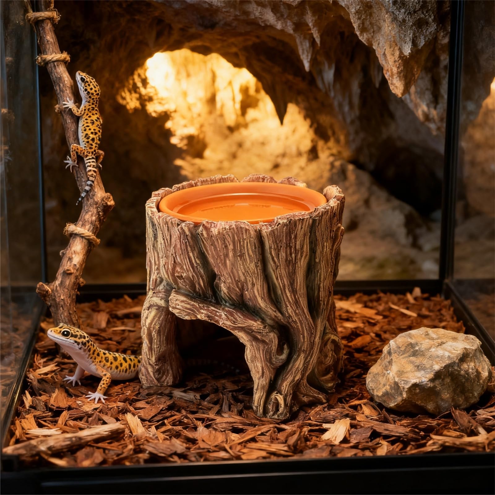 SLWHYZL ayuda a la muda y enriquecimiento de reptiles