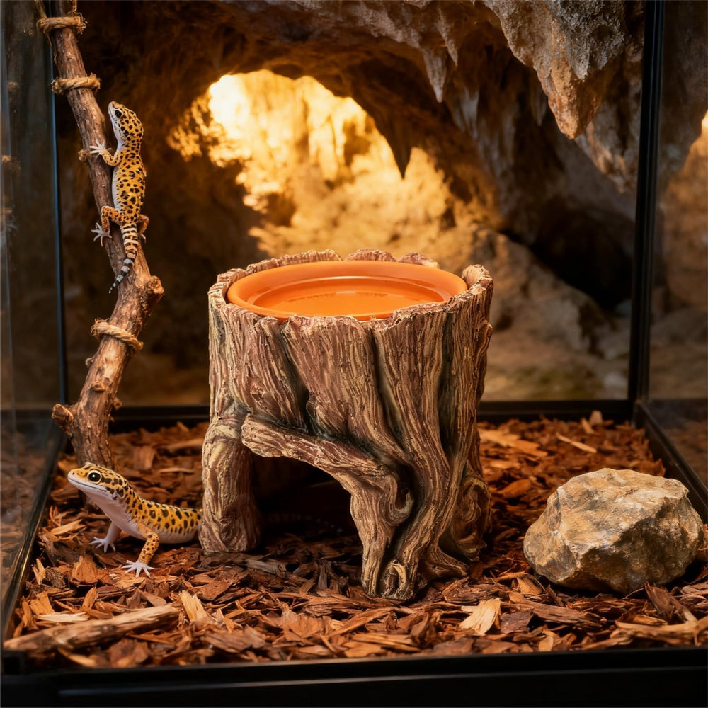 SLWHYZL ayuda a la muda y enriquecimiento de reptiles