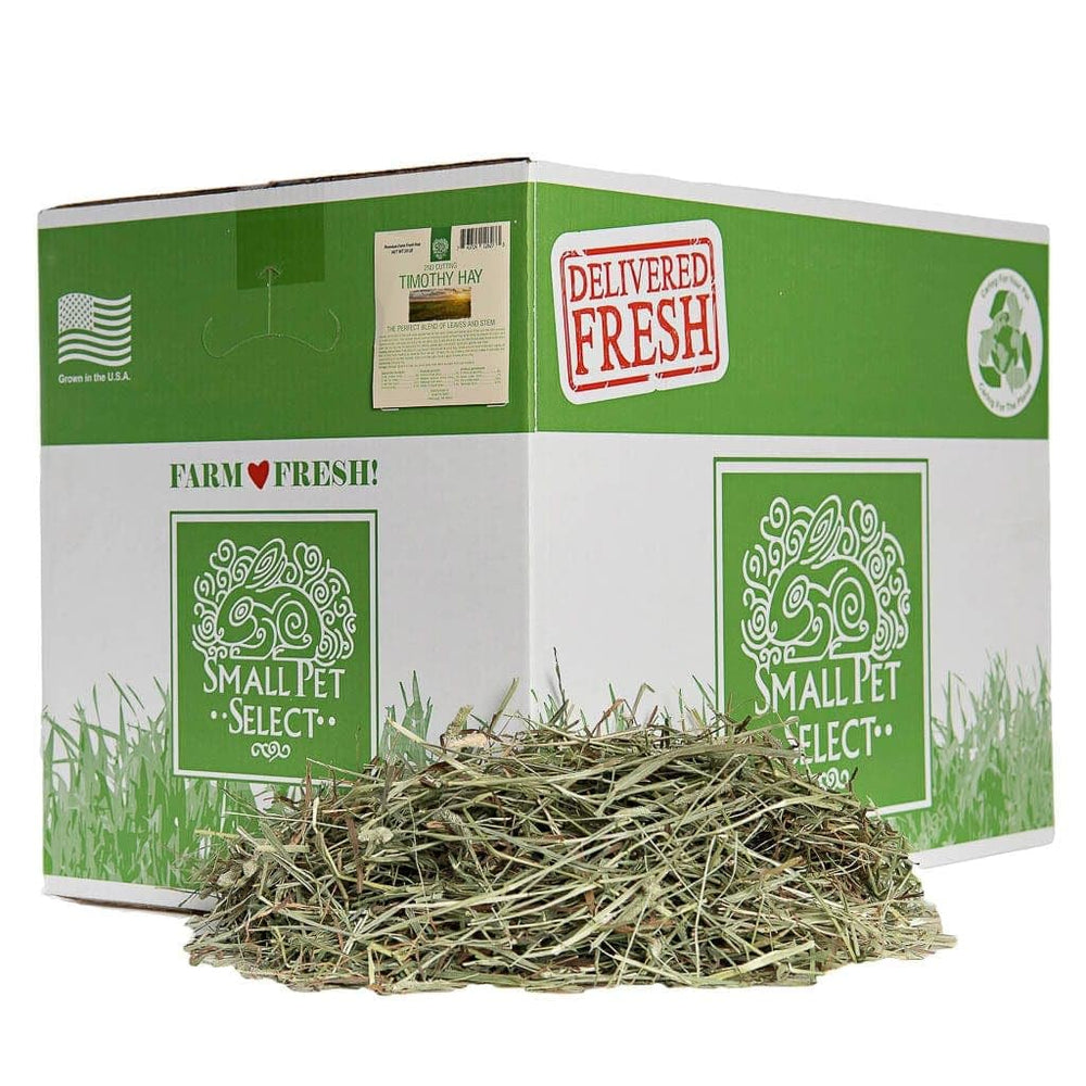 Small Pet Select 2ª Segada Timothy hay: caja fresca para desgaste dental.