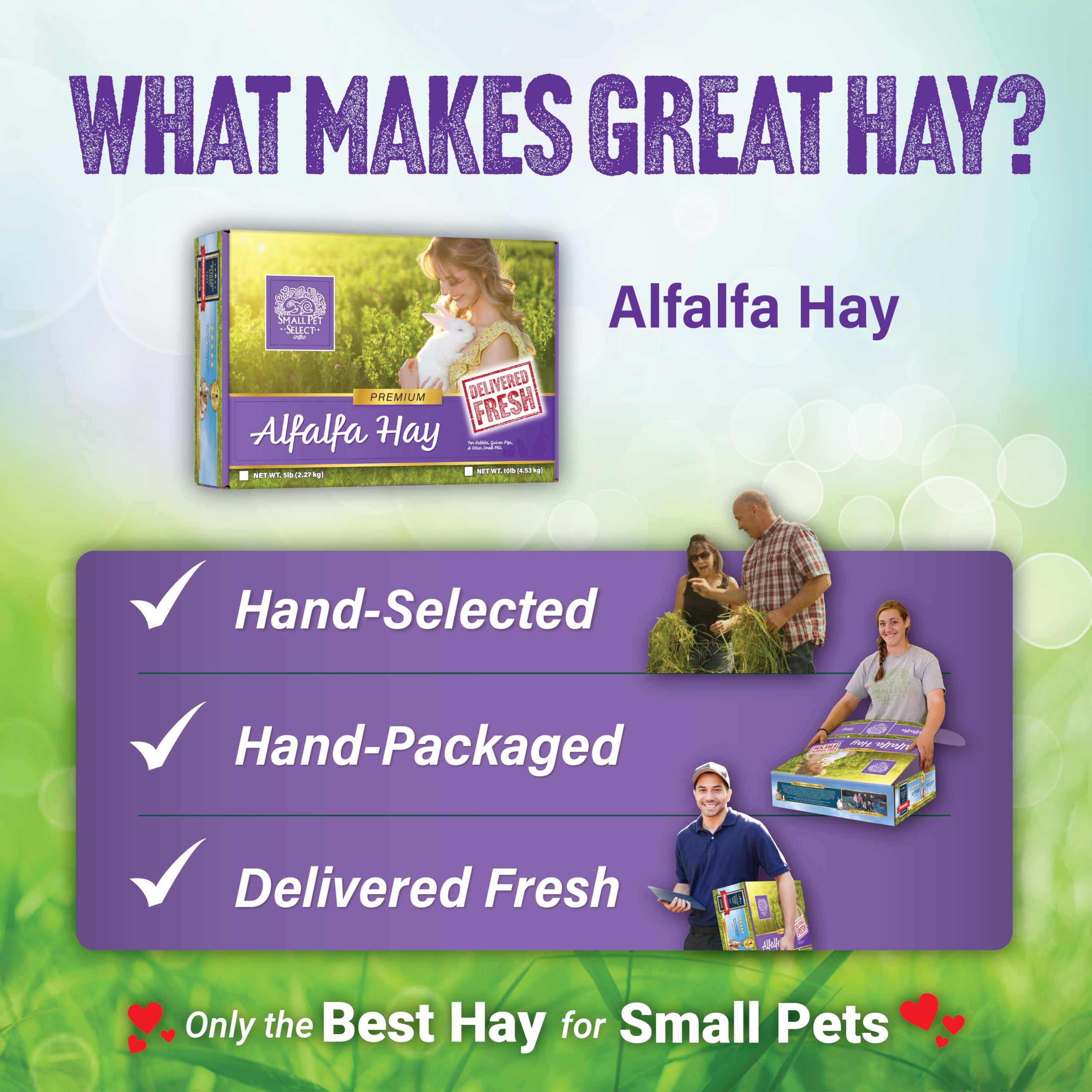 Small Pet Select alfalfa heno, aporte de fibra para dientes y digestión equilibrada