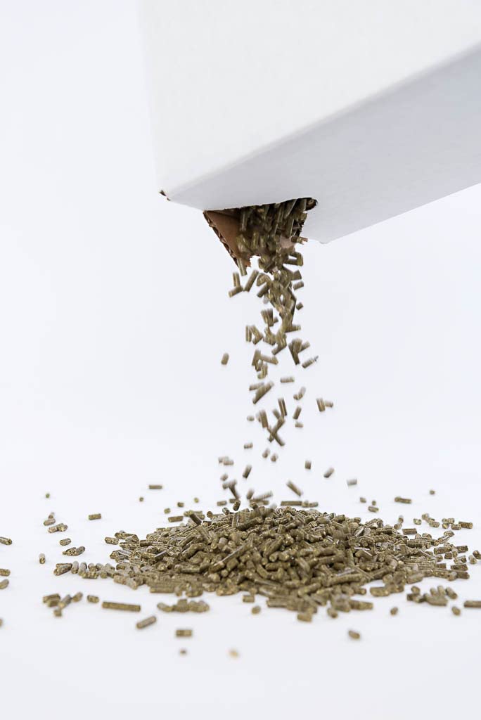 Dieta equilibrada de cobaya con pellets Small Pet Select y heno Timothy