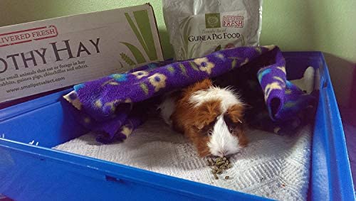 Garantía de satisfacción de Small Pet Select para cobayas
