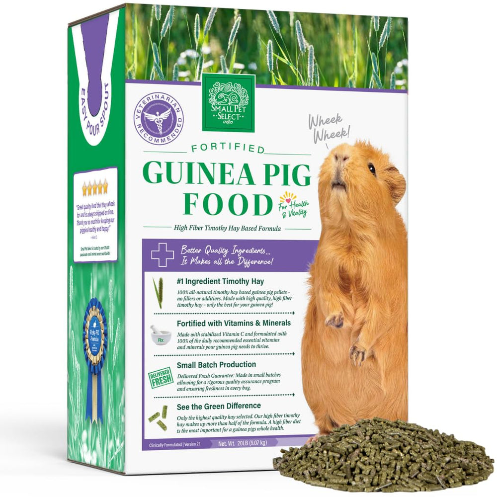 Cobaya con pellets de heno Timothy de Small Pet Select para una dieta de calidad