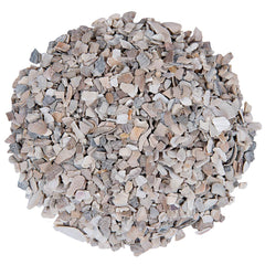 Small Pet Select conchas marinas, calcio natural para huevos más fuertes