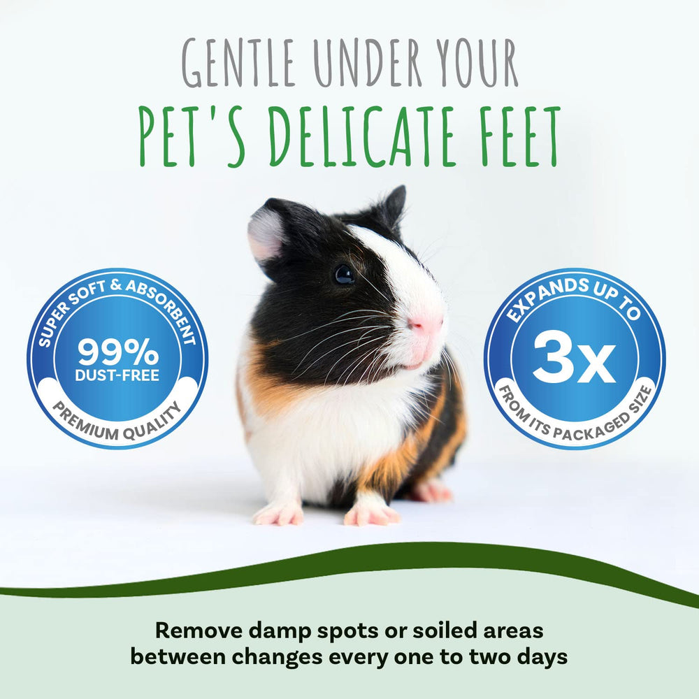 Control de olores natural con Small Pet Select