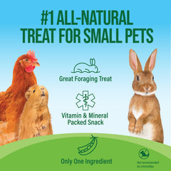 Small Pet Select flocons-pois-cochon-d-inde : complément nutritif sans additifs pour cochon d’inde