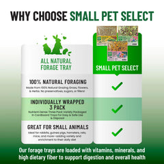 Small Pet Select Forage Tray en hábitat: acceso directo para exploración diaria.