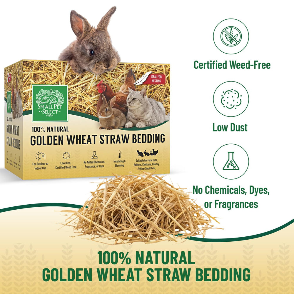 Small Pet Select: hábitat conejo con cama natural para bienestar diario.