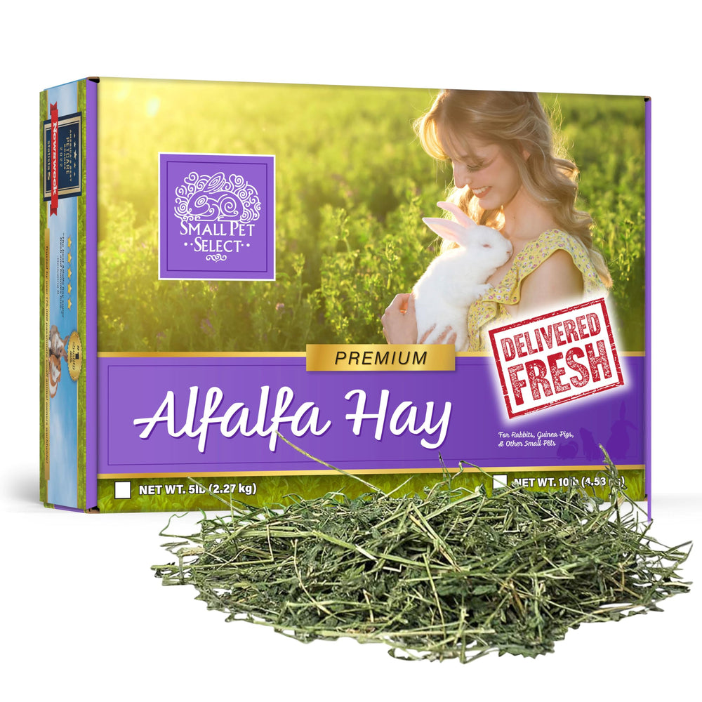 Small Pet Select heno de alfalfa para conejos jóvenes, favorece crecimiento y desgaste dental.