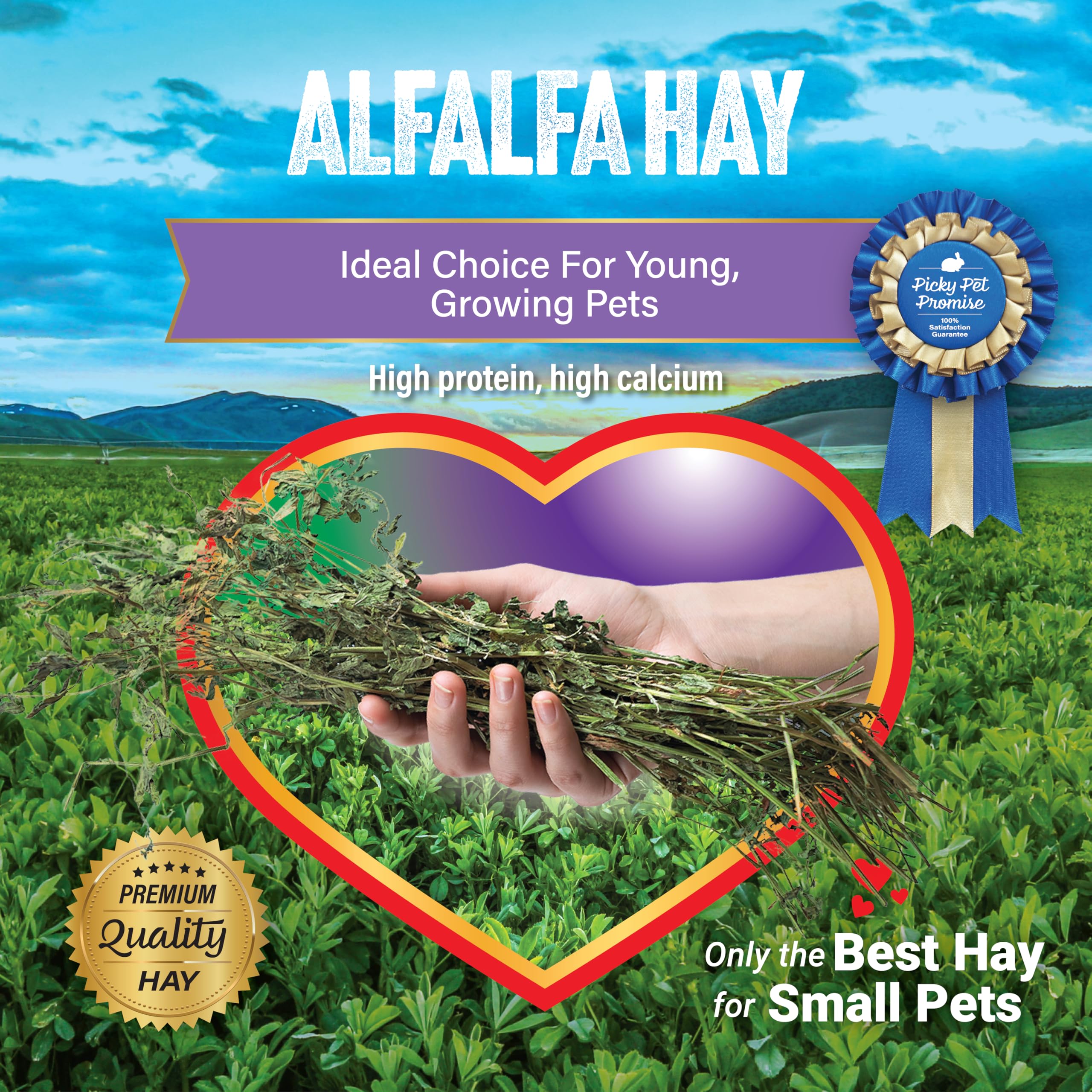 Small Pet Select heno de alfalfa con polvo reducido para mascotas sensibles.
