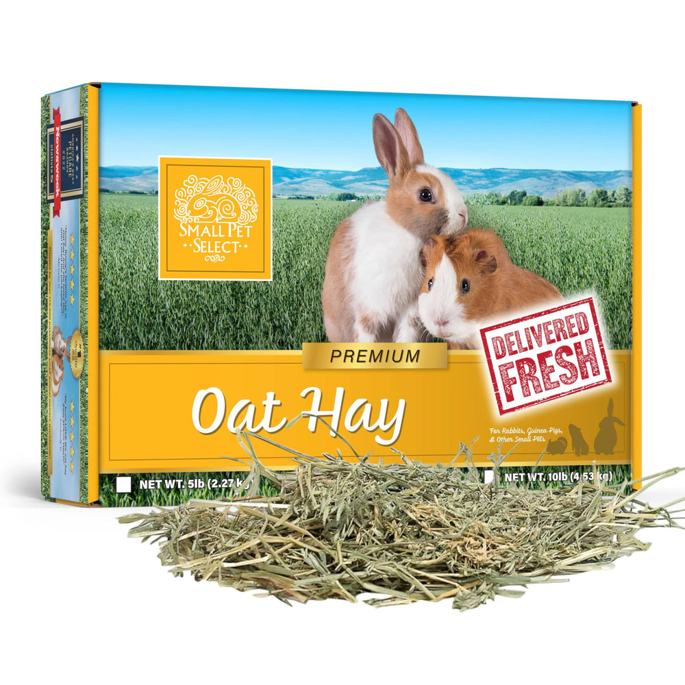 Small Pet Select Heno de Avena: textura crujiente ideal para masticar y entretener a tu mascota.