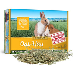 Small Pet Select Heno de Avena: textura crujiente ideal para masticar y entretener a tu mascota.