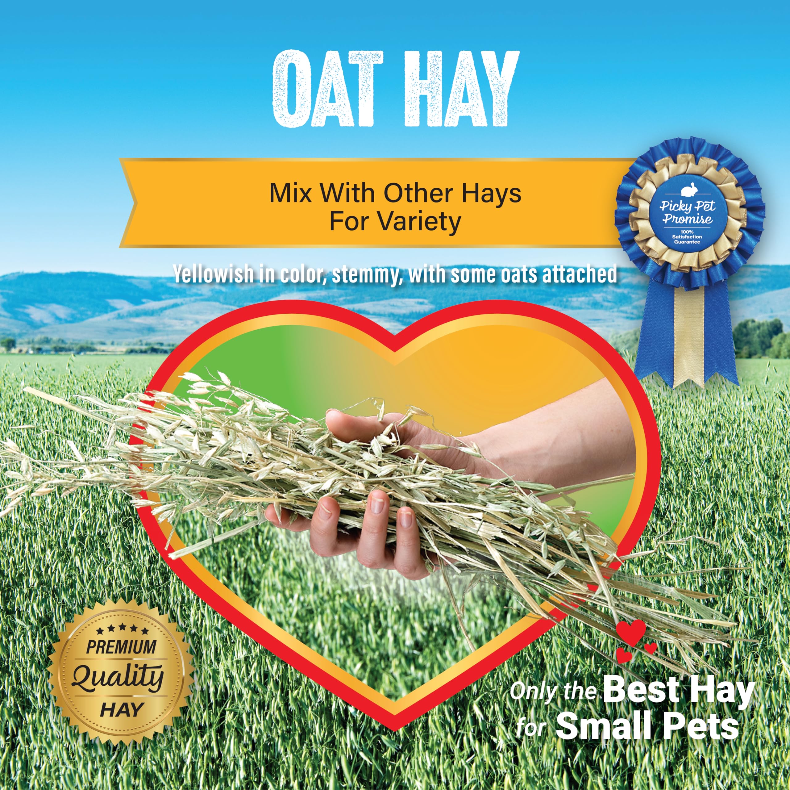 Small Pet Select heno de avena permite mezclar con otros heno para rotación