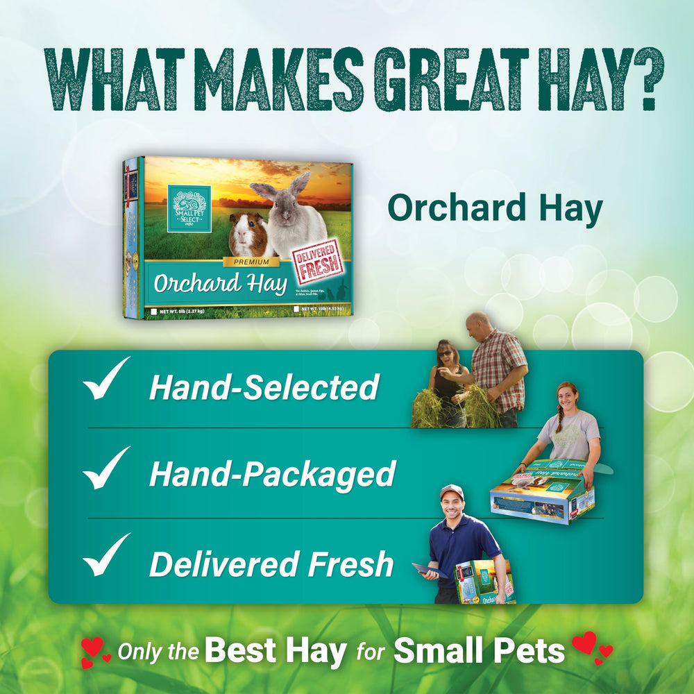 Small Pet Select heno de huerta, proveedores en Washington garantizan calidad.