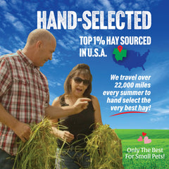 Small Pet Select heno de pradera, caja resistente para entrega.
