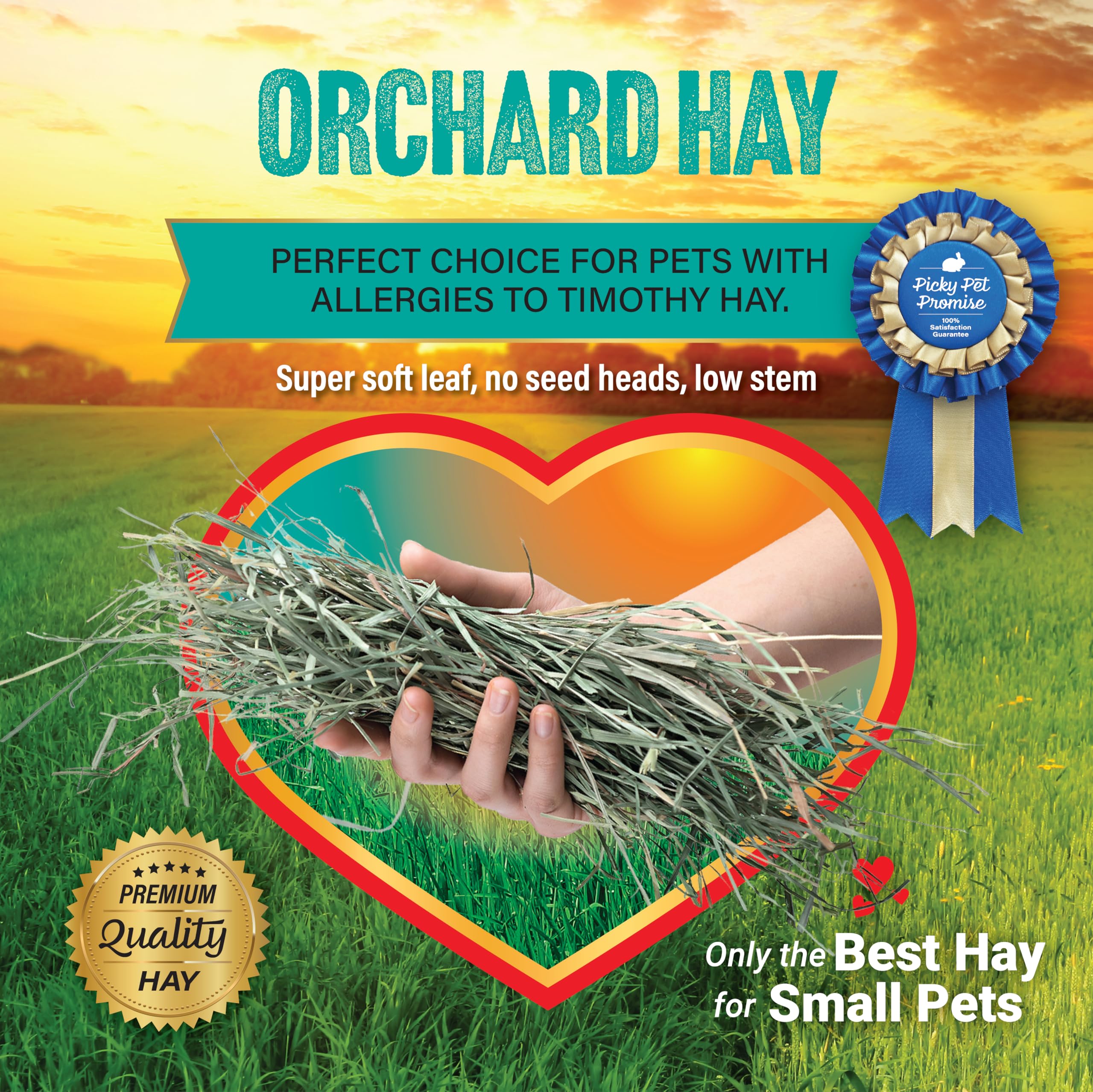 Small Pet Select heno de pradera, variedad para la dieta.