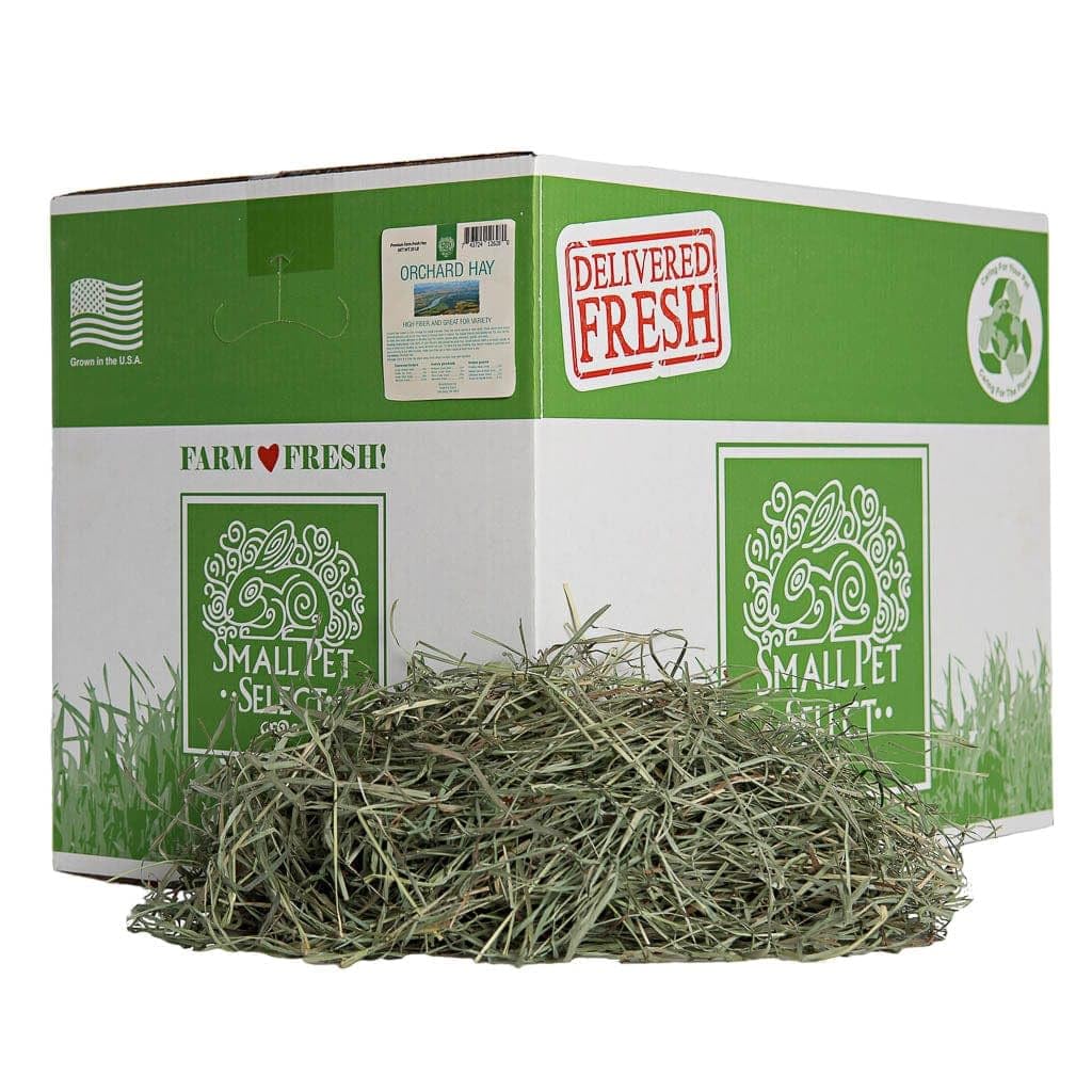 Small Pet Select heno de pasto de huerto en caja resistente para almacenamiento fácil