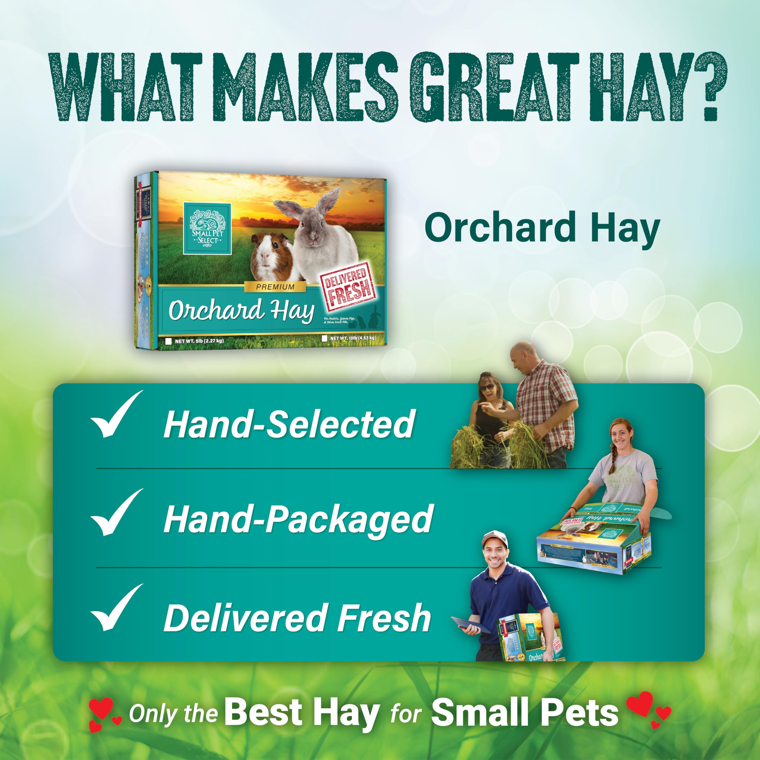 Small Pet Select heno de pasto de huerto lote pequeño y control de calidad