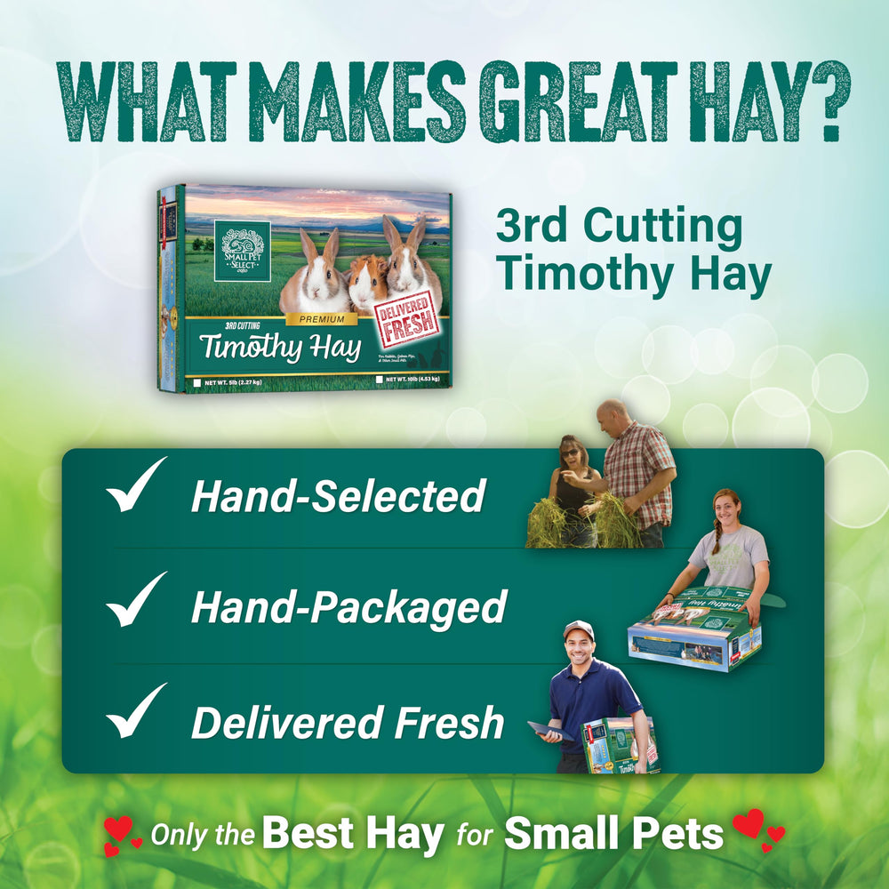 Small Pet Select heno Timothy 3er corte, textura suave que anima a comer a diario.