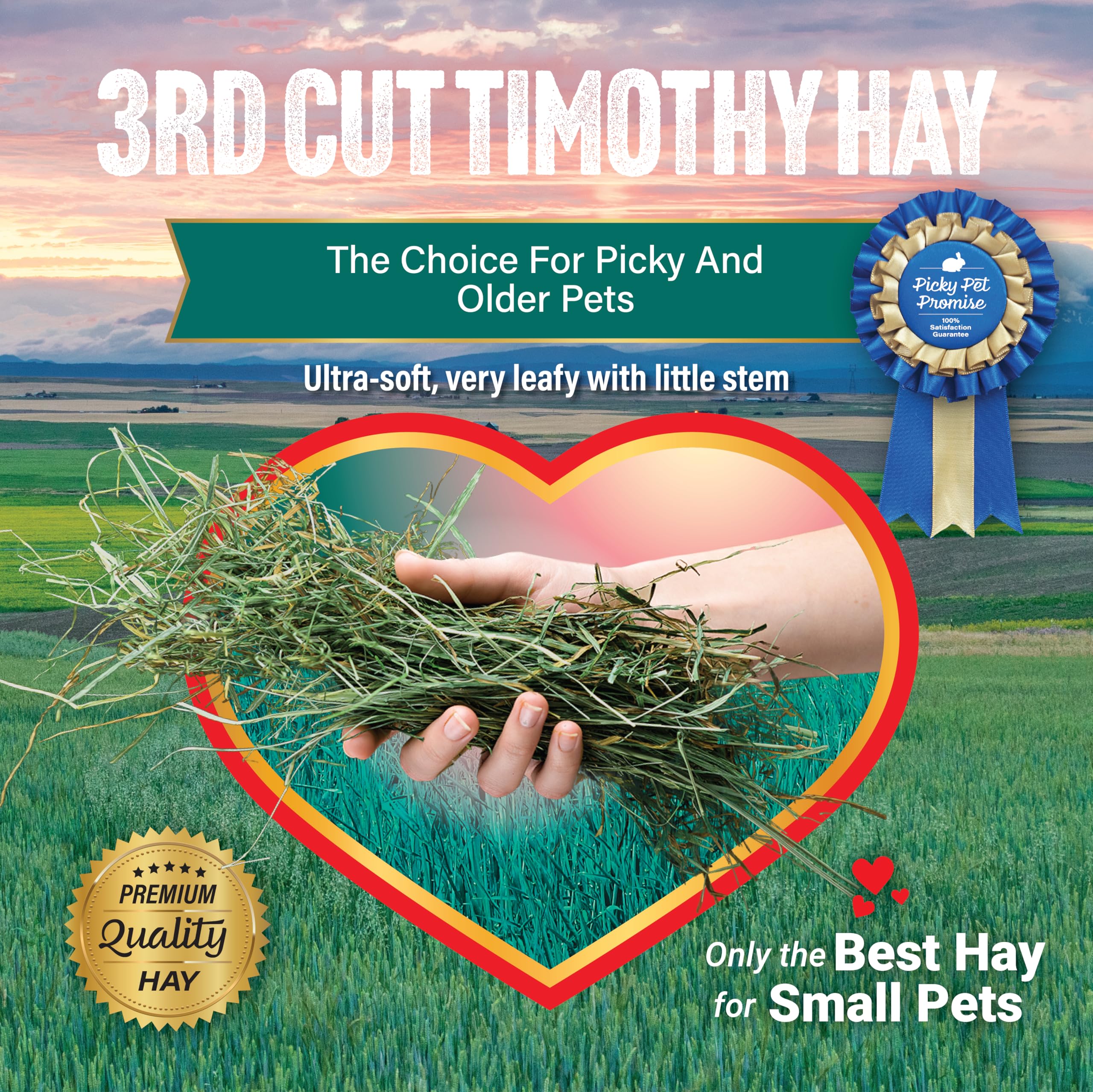 Small Pet Select heno Timothy 3ª corte - entrega fresca desde la granja