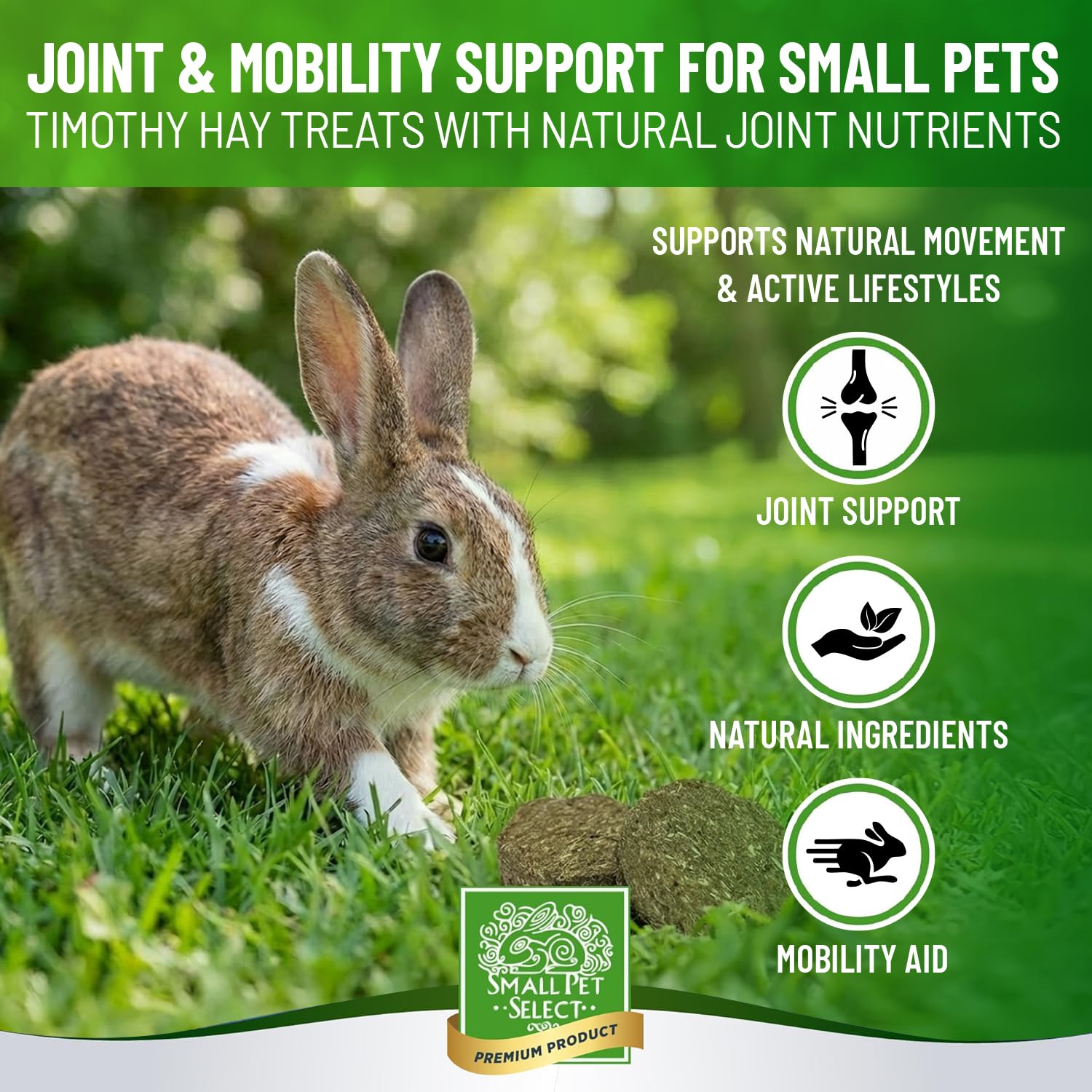 Biscitos de heno Timothy de Small Pet Select, textura crujiente para masticar.