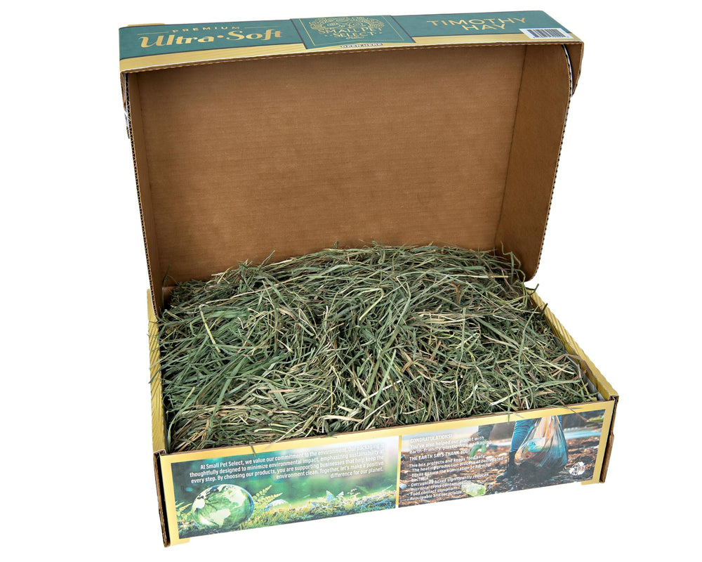 Small Pet Select heno timothy ultra suave, hojas verdes abundantes para comedores exigentes.