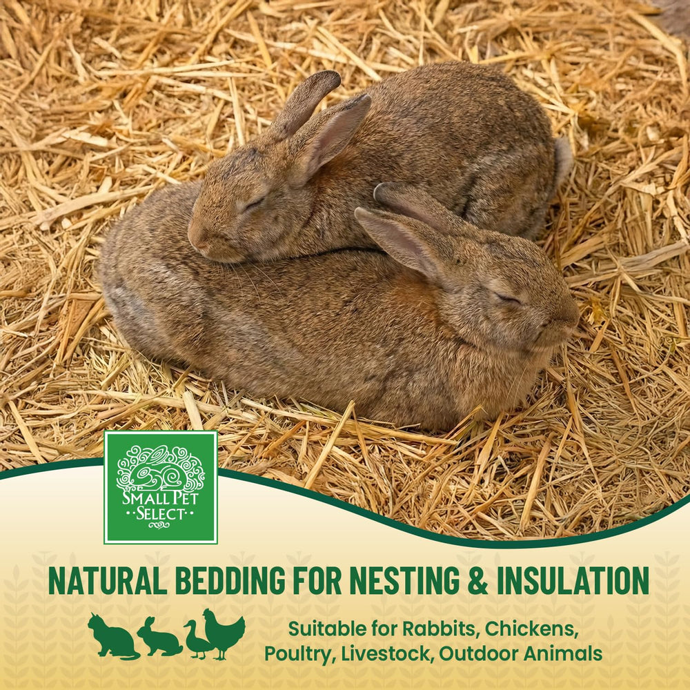 Small Pet Select: textura aireada favorece buena ventilación en la jaula.
