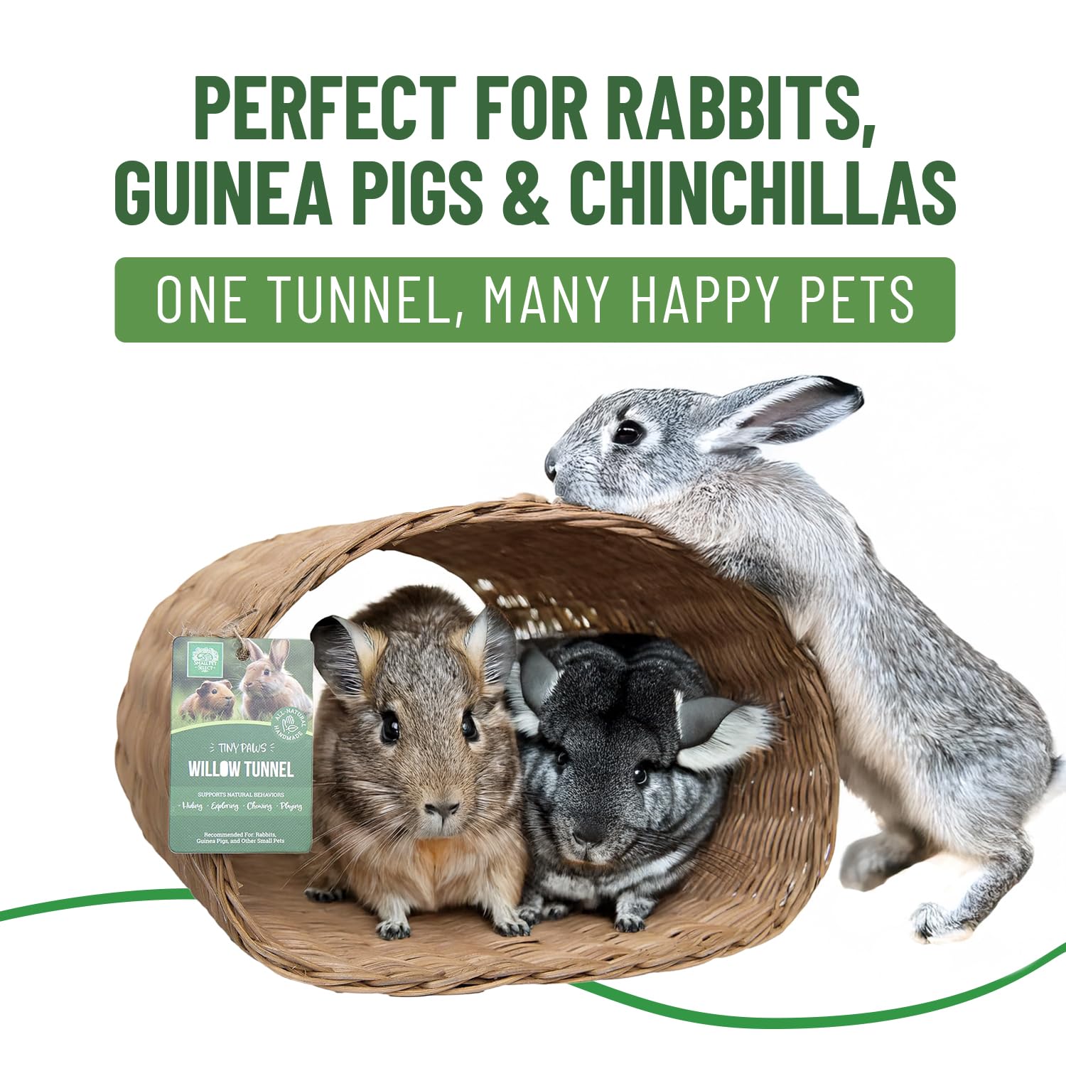 Small Pet Select ofrece enriquecimiento: túnel jumbo fomenta exploración y juego