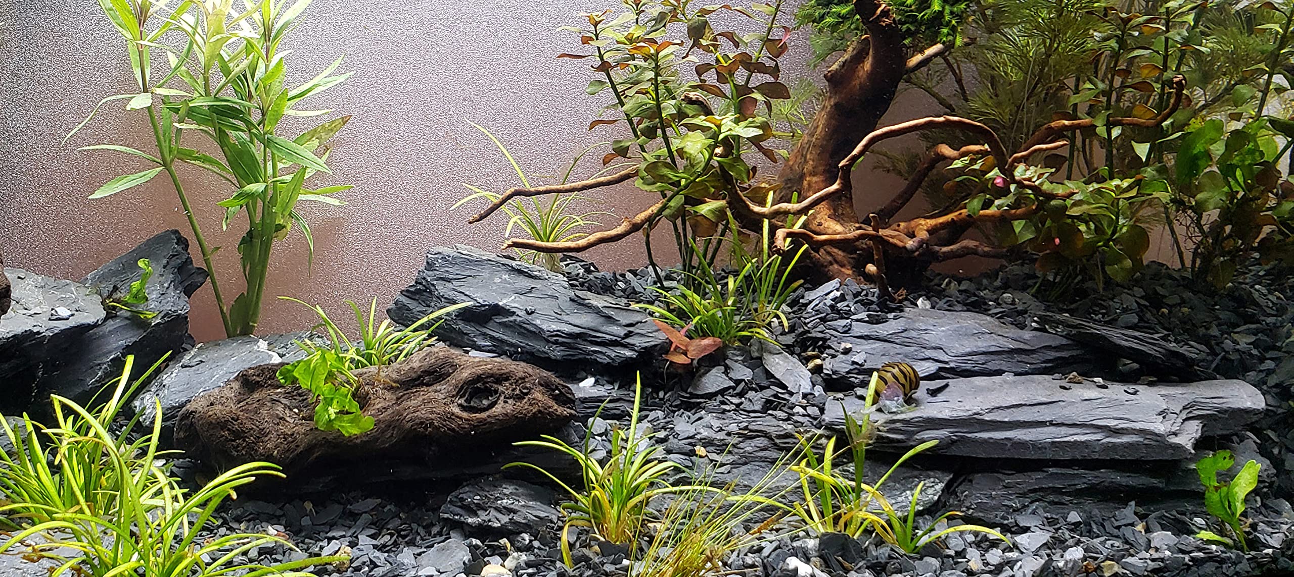 Small World Slate & Stone: pizarra para dioramas, muros y caminos realistas