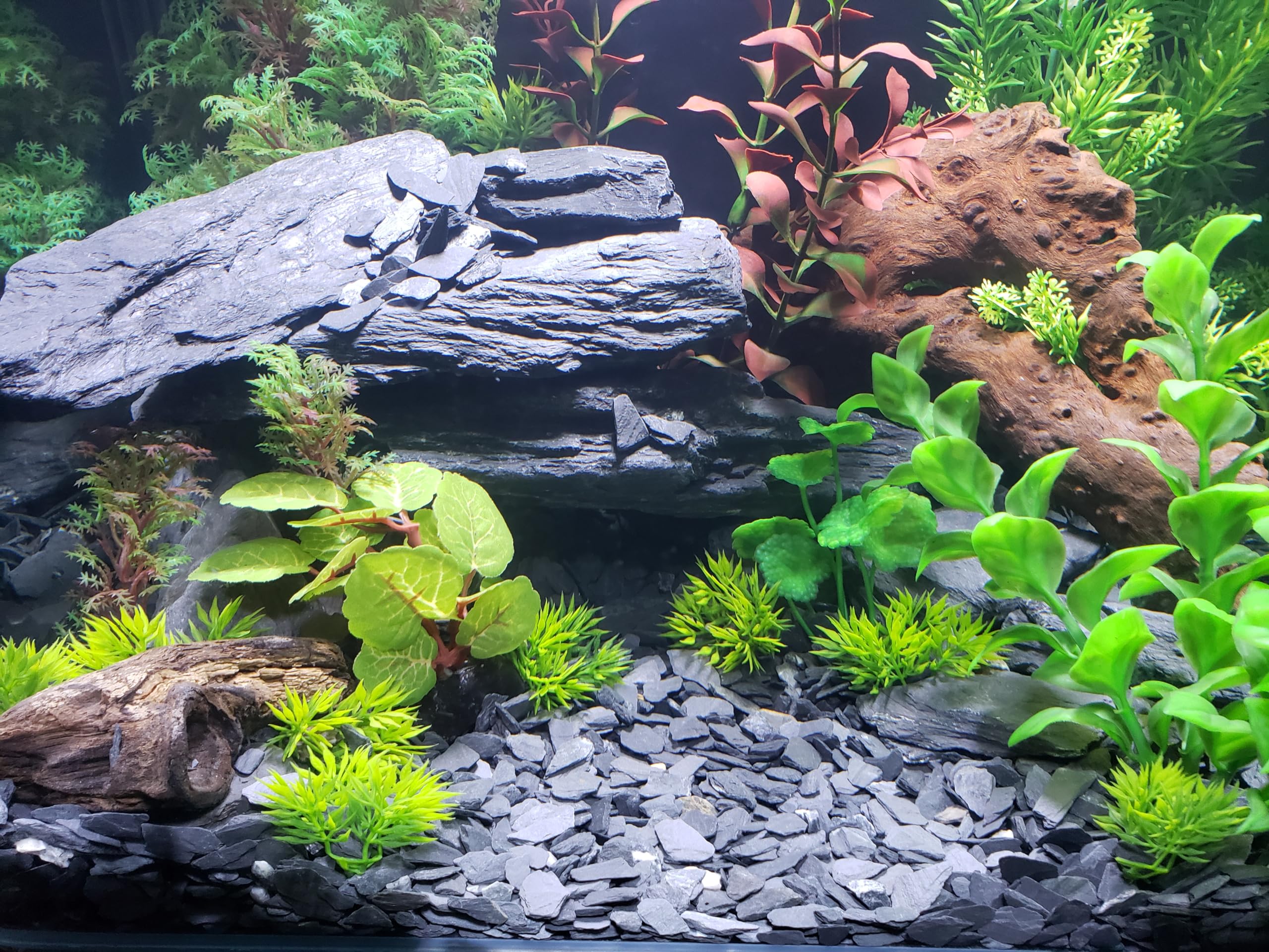 Small World Slate & Stone grava apta para plantas y decoraciones en acuario.
