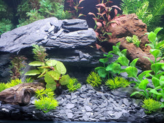 Small World Slate & Stone grava apta para plantas y decoraciones en acuario.