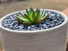 Small World Slate & Stone uso en bonsai y suculentas para texturas
