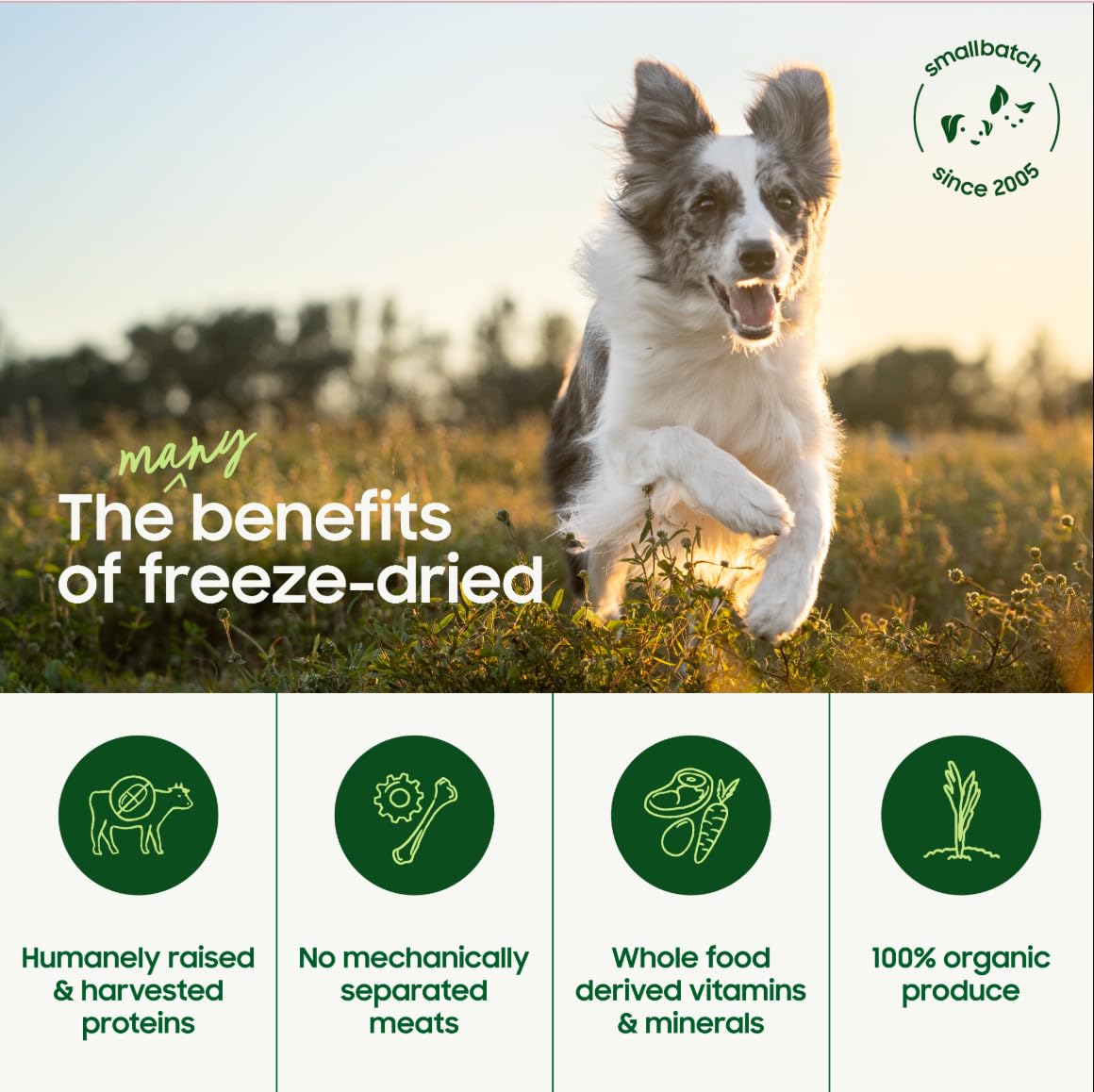 Smallbatch Pets: res alimentada con pasto para proteína natural