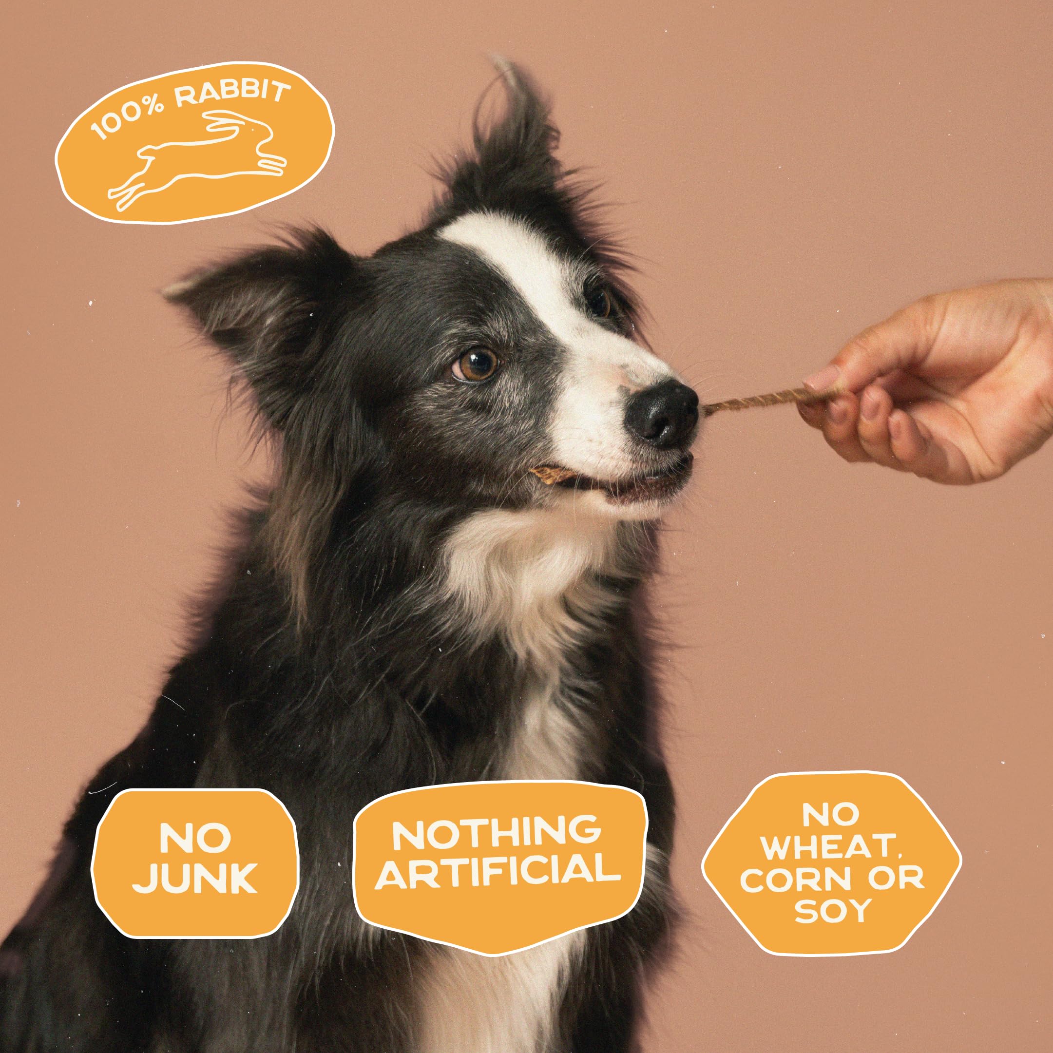 Smart Cookie conejo deshidratado, snack para estómagos sensibles de perros