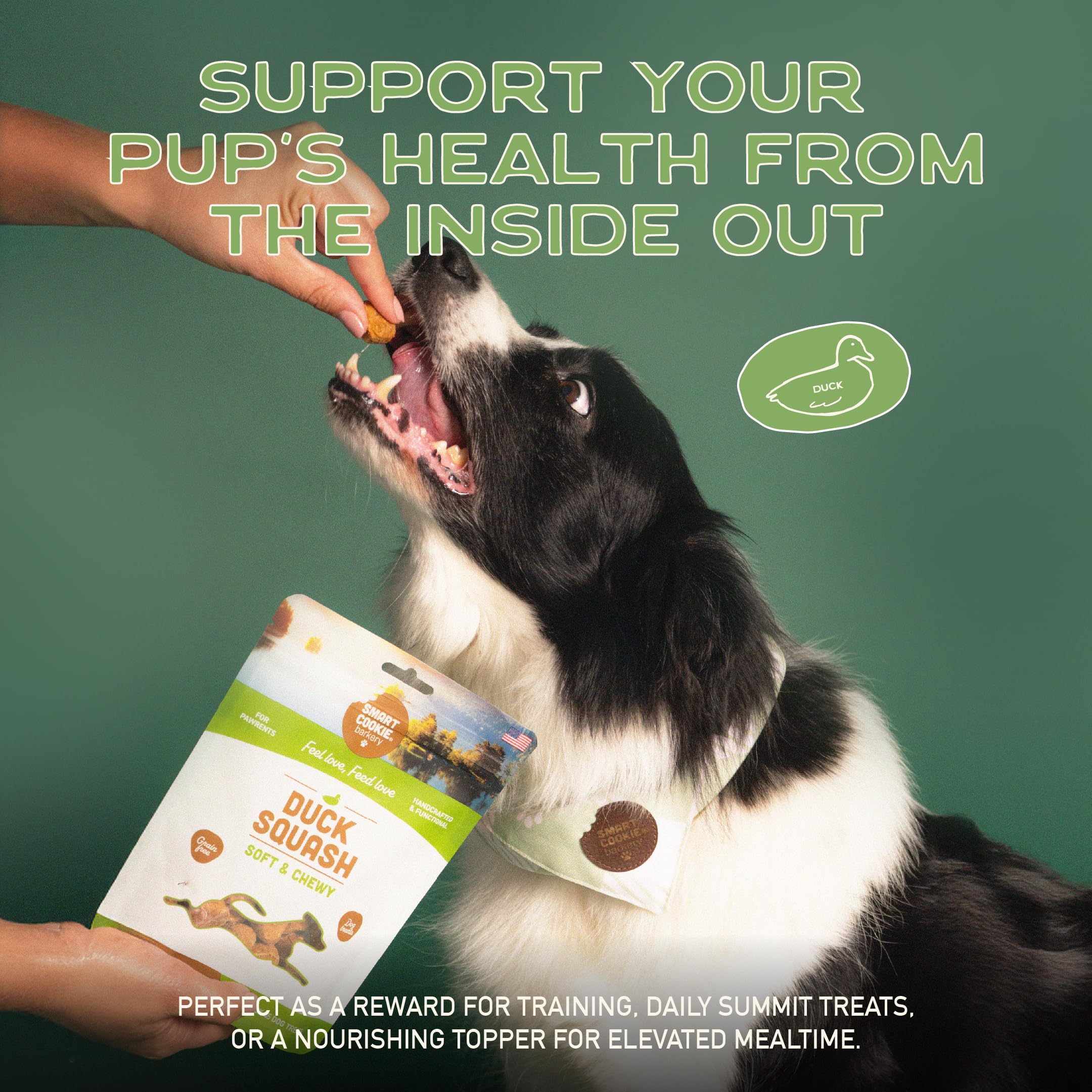 Smart Cookie sabor pato y calabaza, proteína única para perros sensibles.